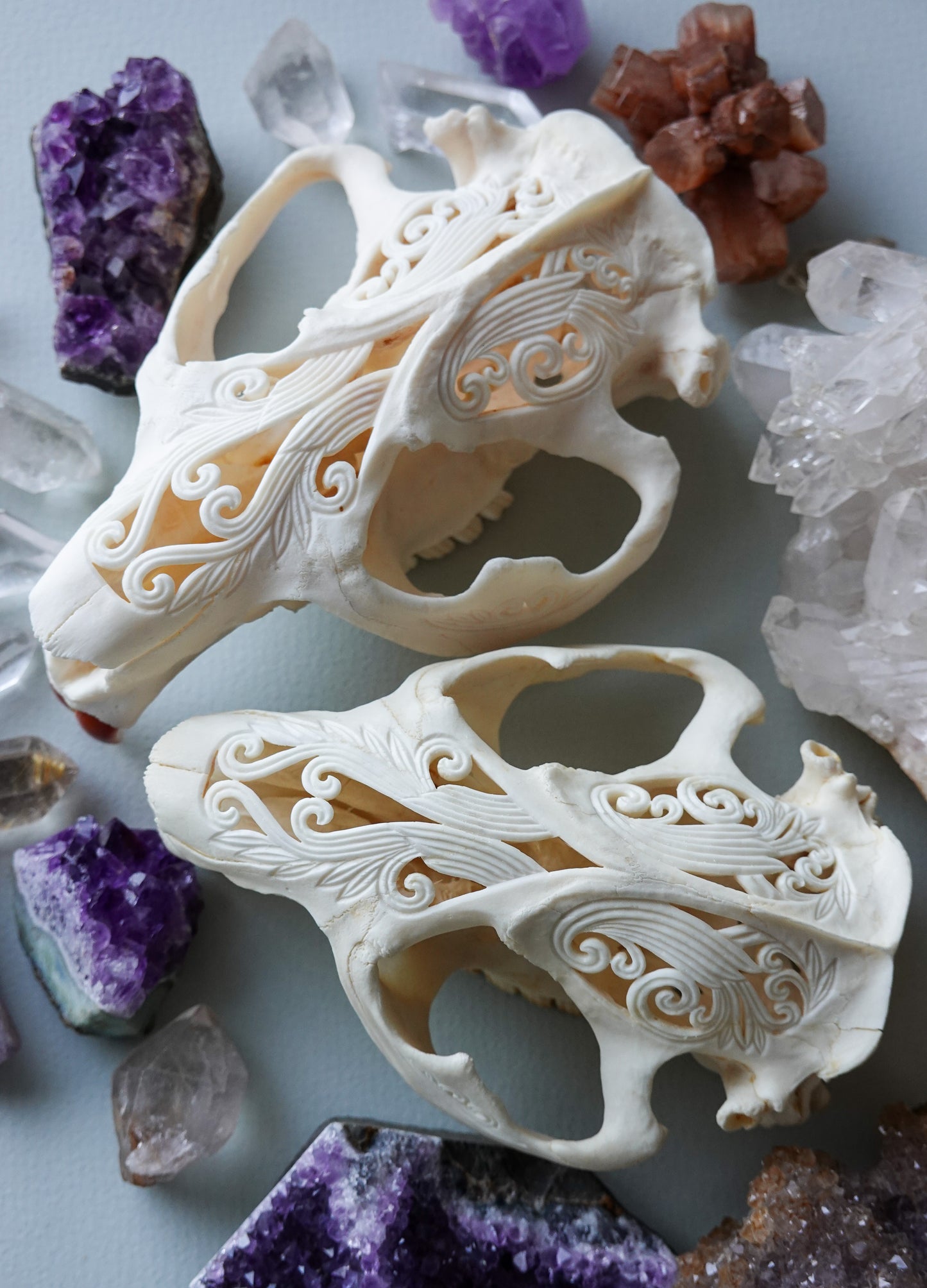 Hand-Carved Beaver Skull