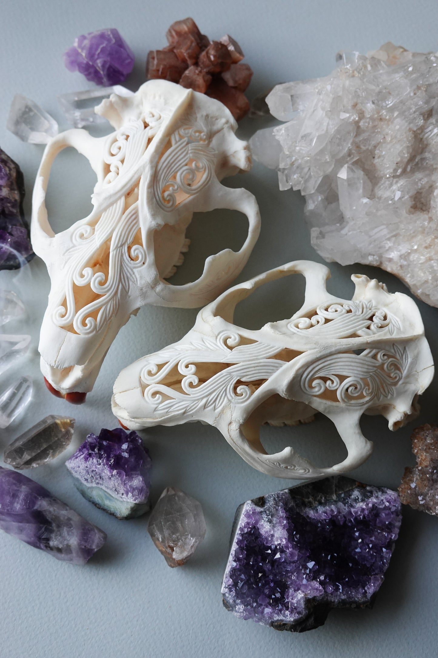 Hand-Carved Beaver Skull