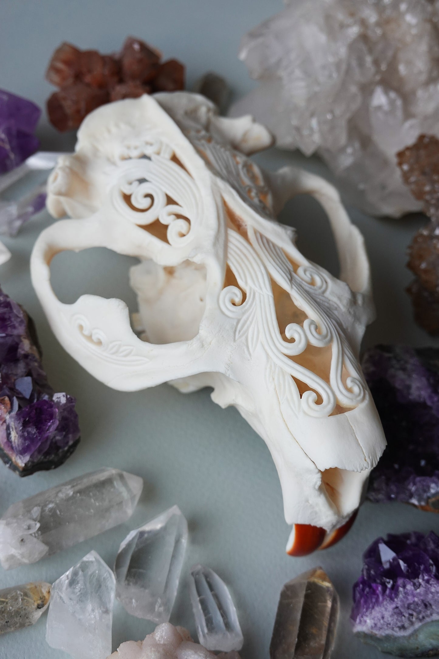 Hand-Carved Beaver Skull