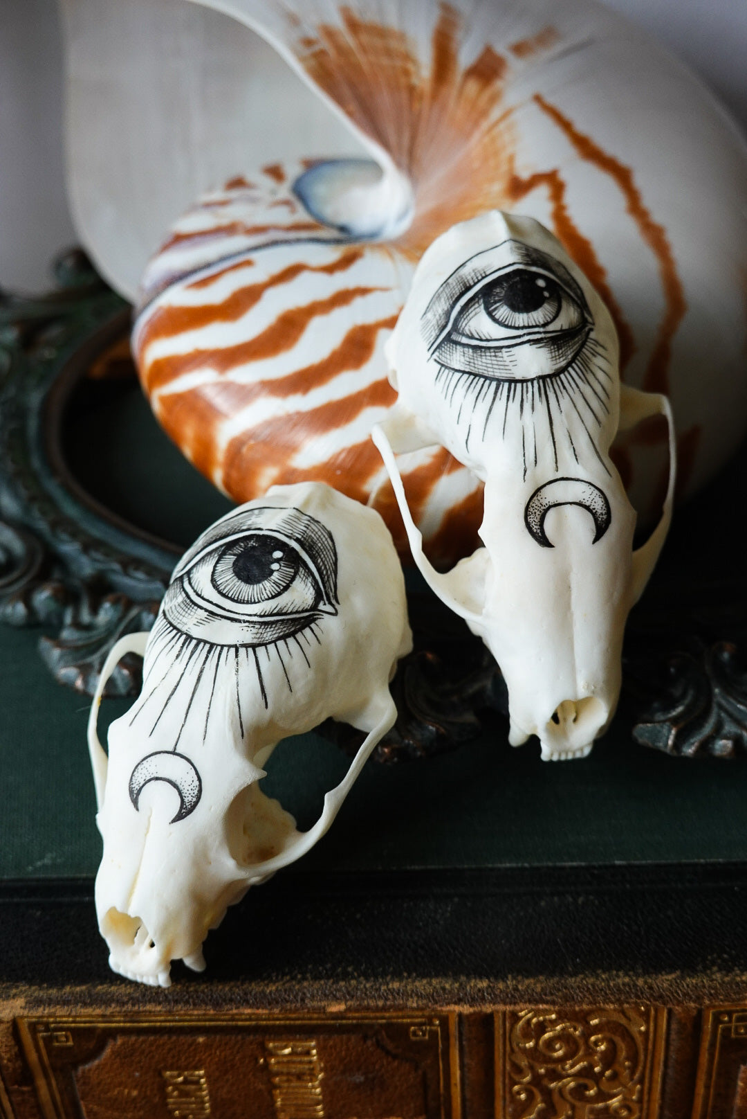 Hand painted marten skull
