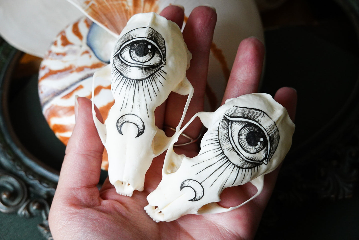 Hand painted marten skull