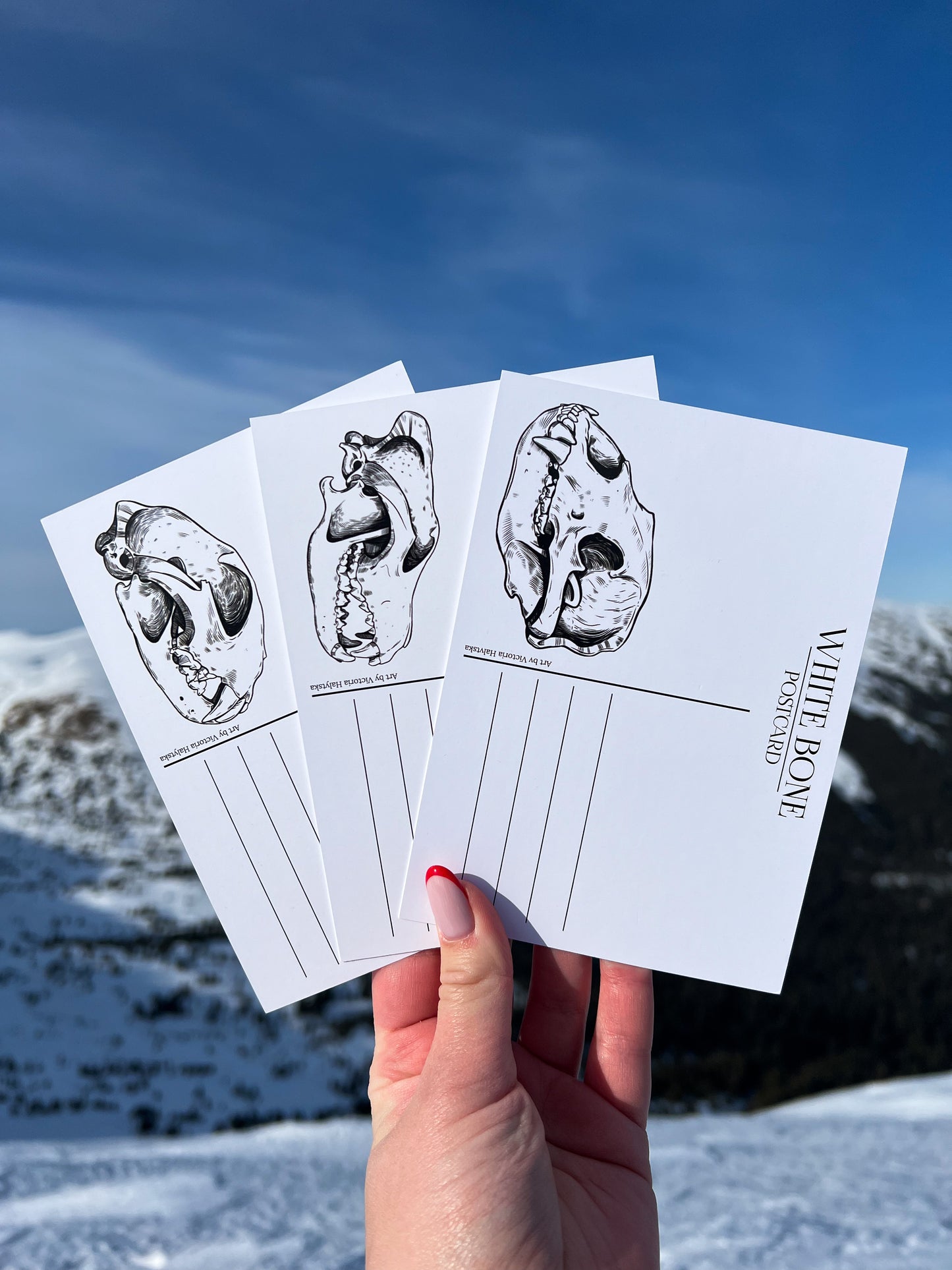 Postcard Set - Pack of 5 postcards