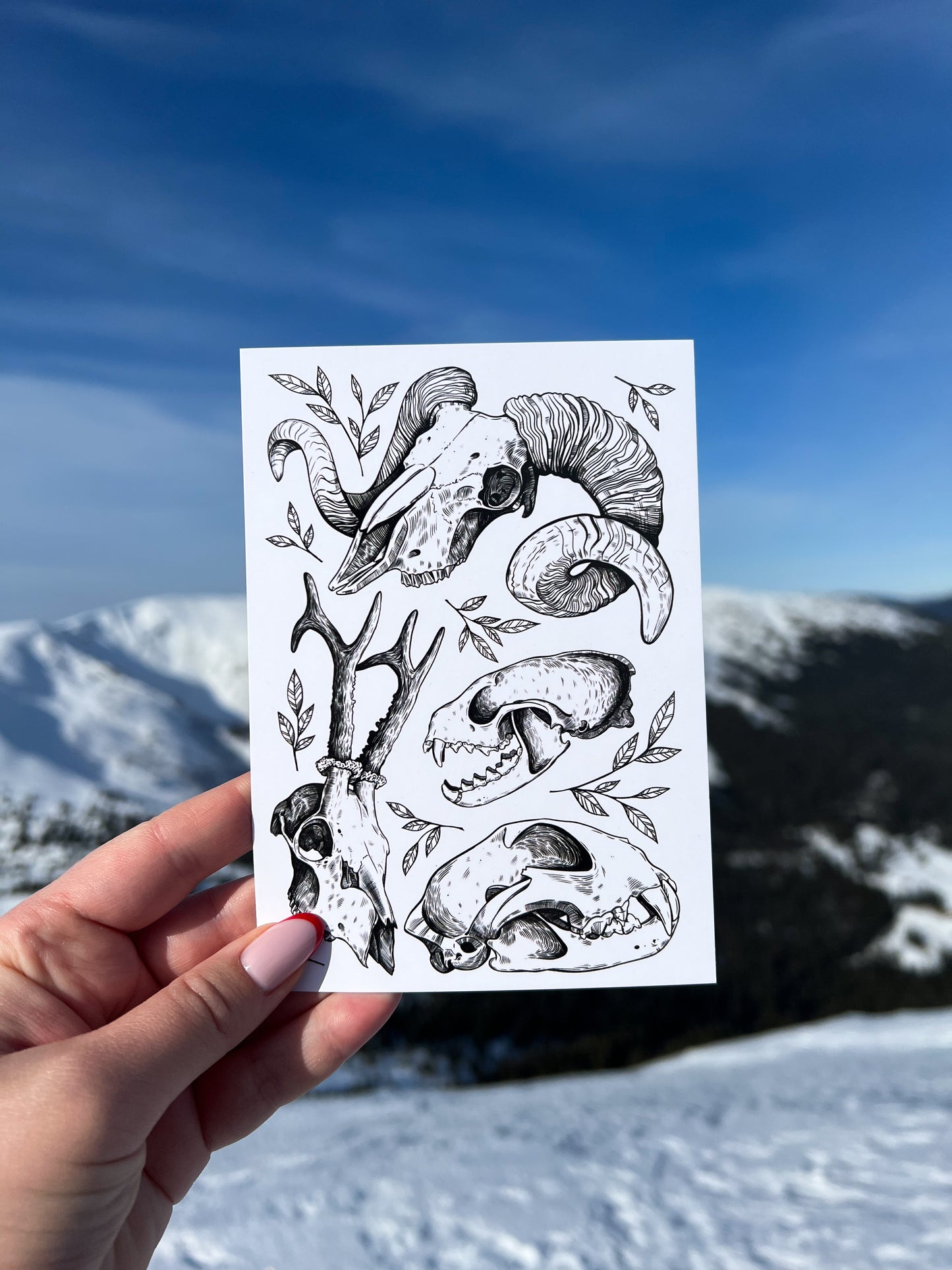 Postcard Set - Pack of 5 postcards