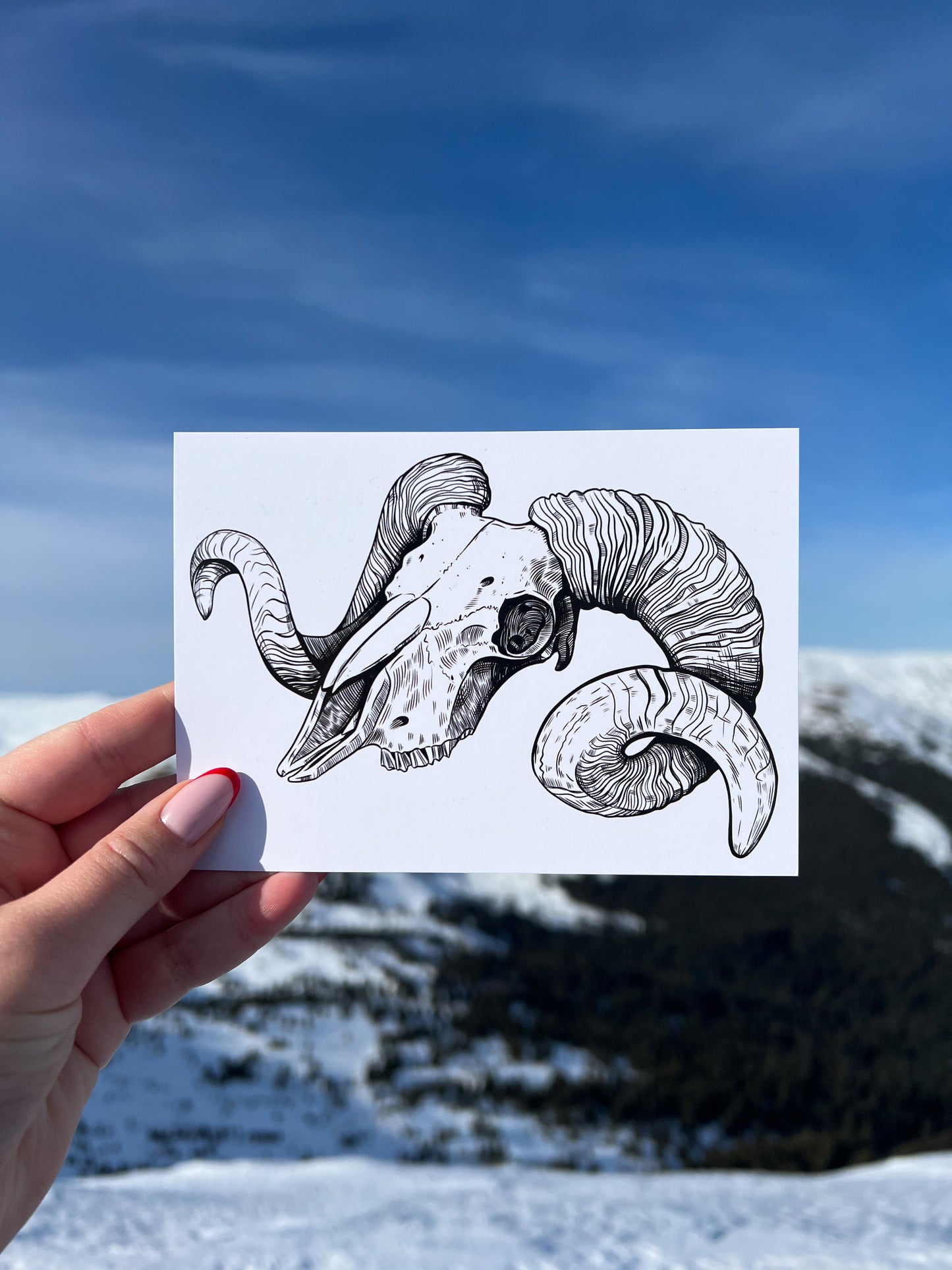 Postcard Set - Pack of 5 postcards