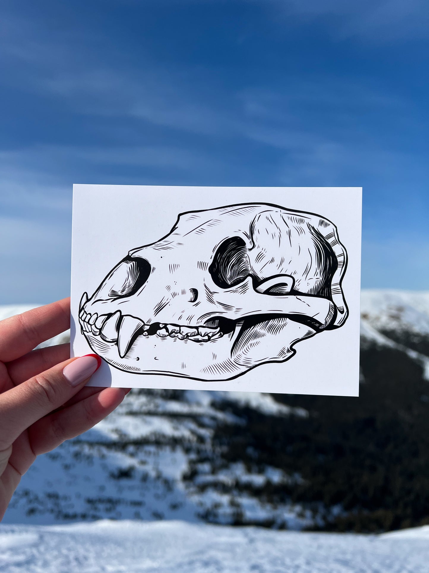 Postcard Set - Pack of 5 postcards