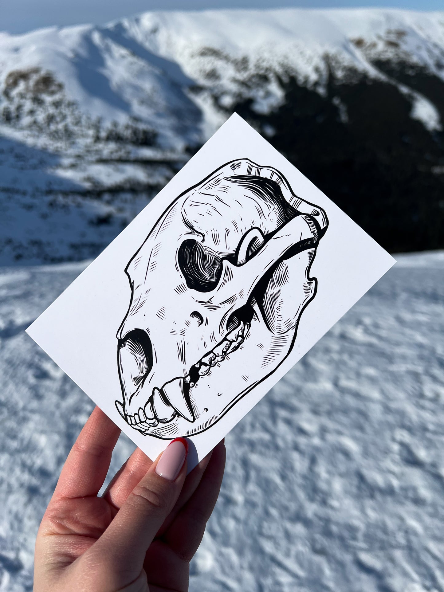 Postcard Set - Pack of 5 postcards