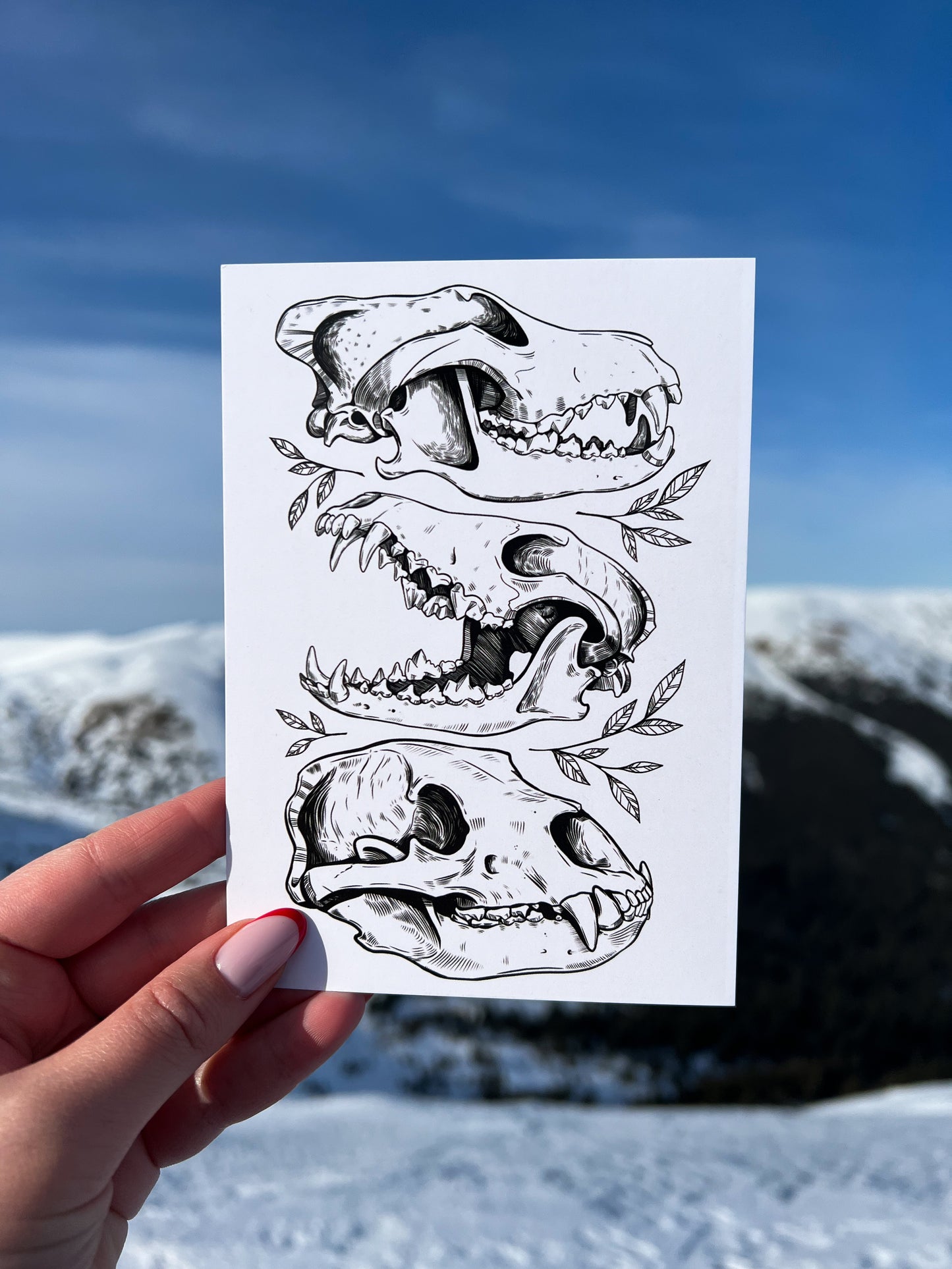 Postcard Set - Pack of 5 postcards