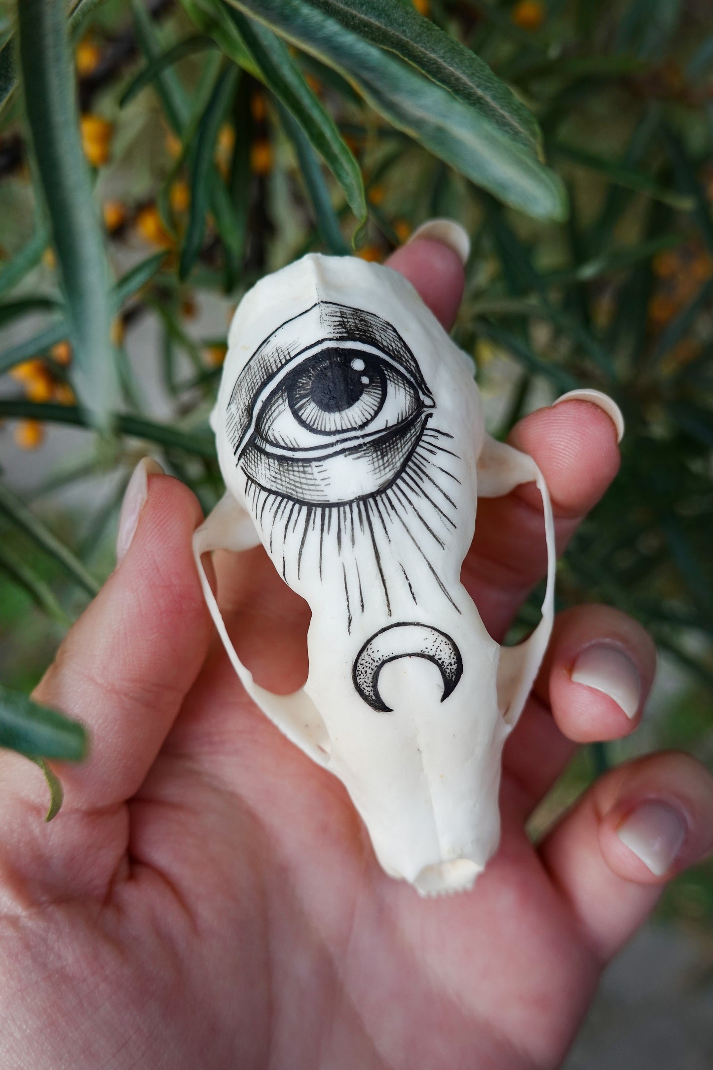 Hand painted marten skull