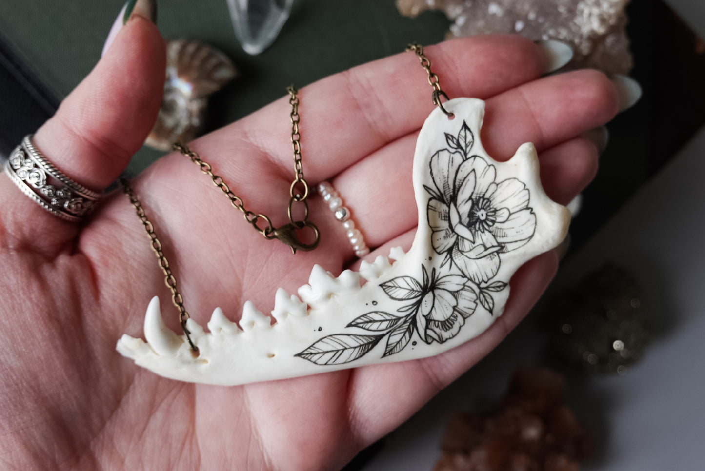 Japanese raccoon dog jawbone necklace
