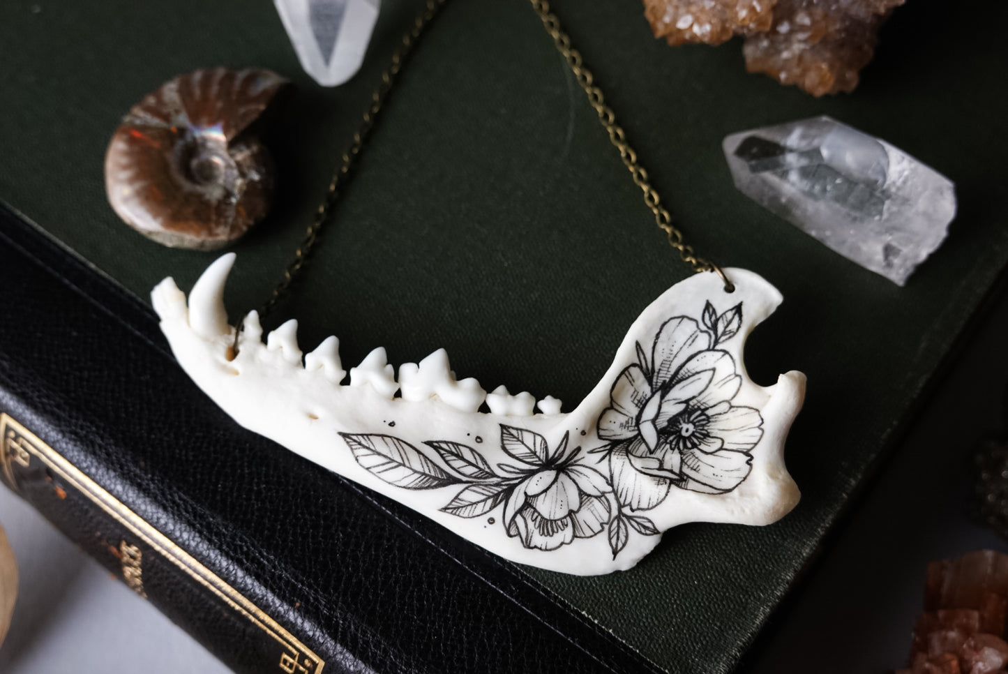 Japanese raccoon dog jawbone necklace