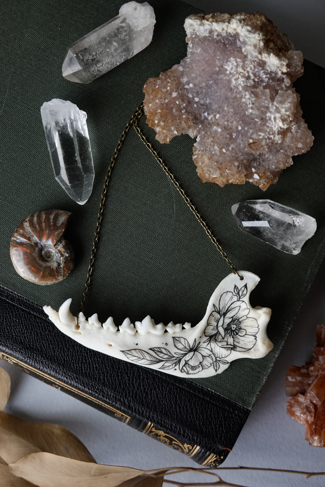 Japanese raccoon dog jawbone necklace