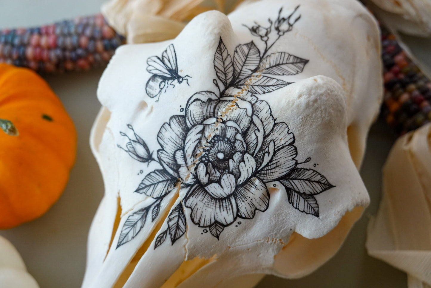 Hand painted skull of goat