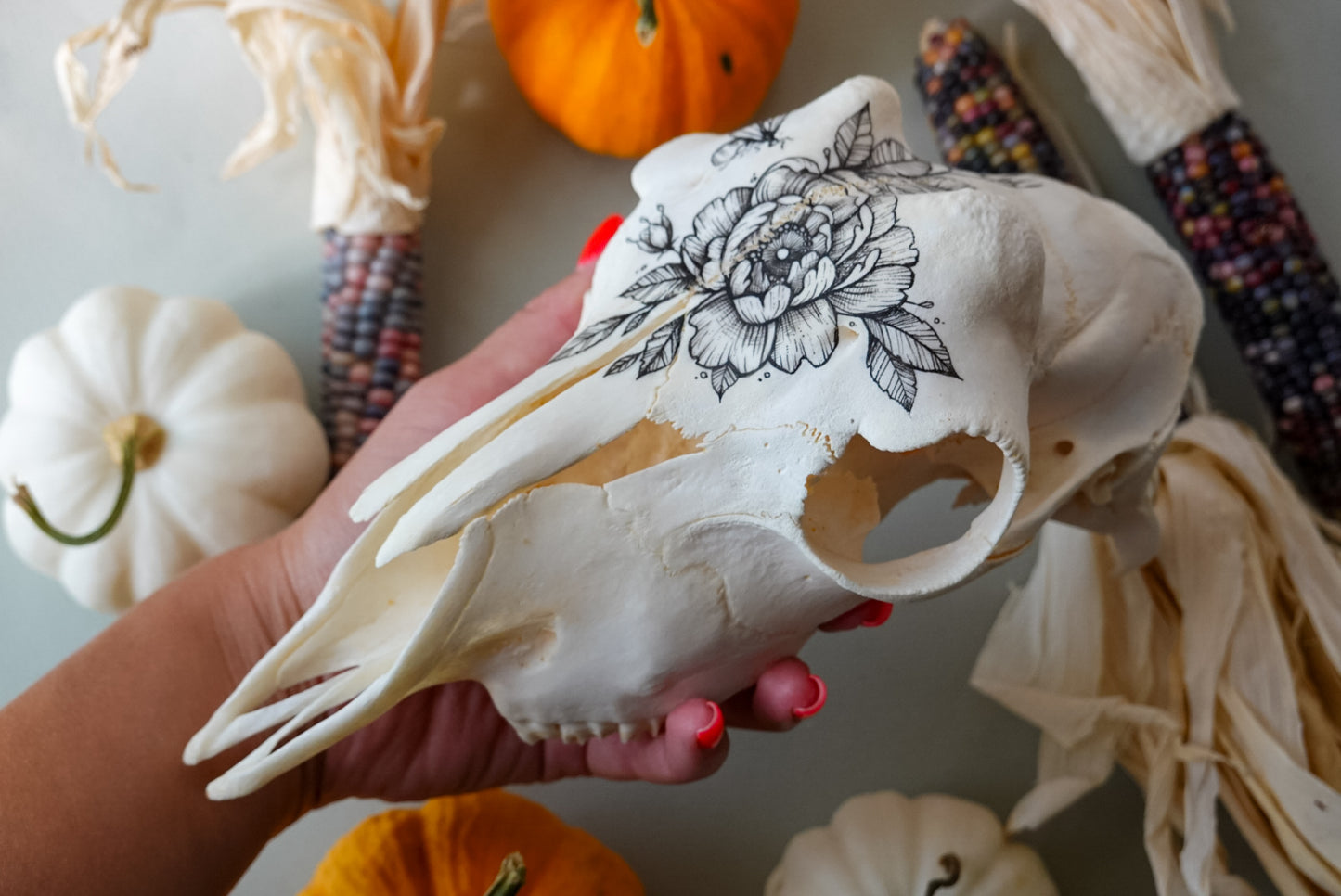 Hand painted skull of goat