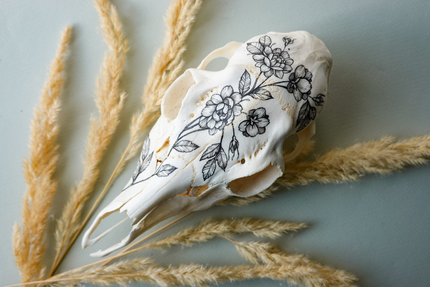 Hand painted skull of roe deer
