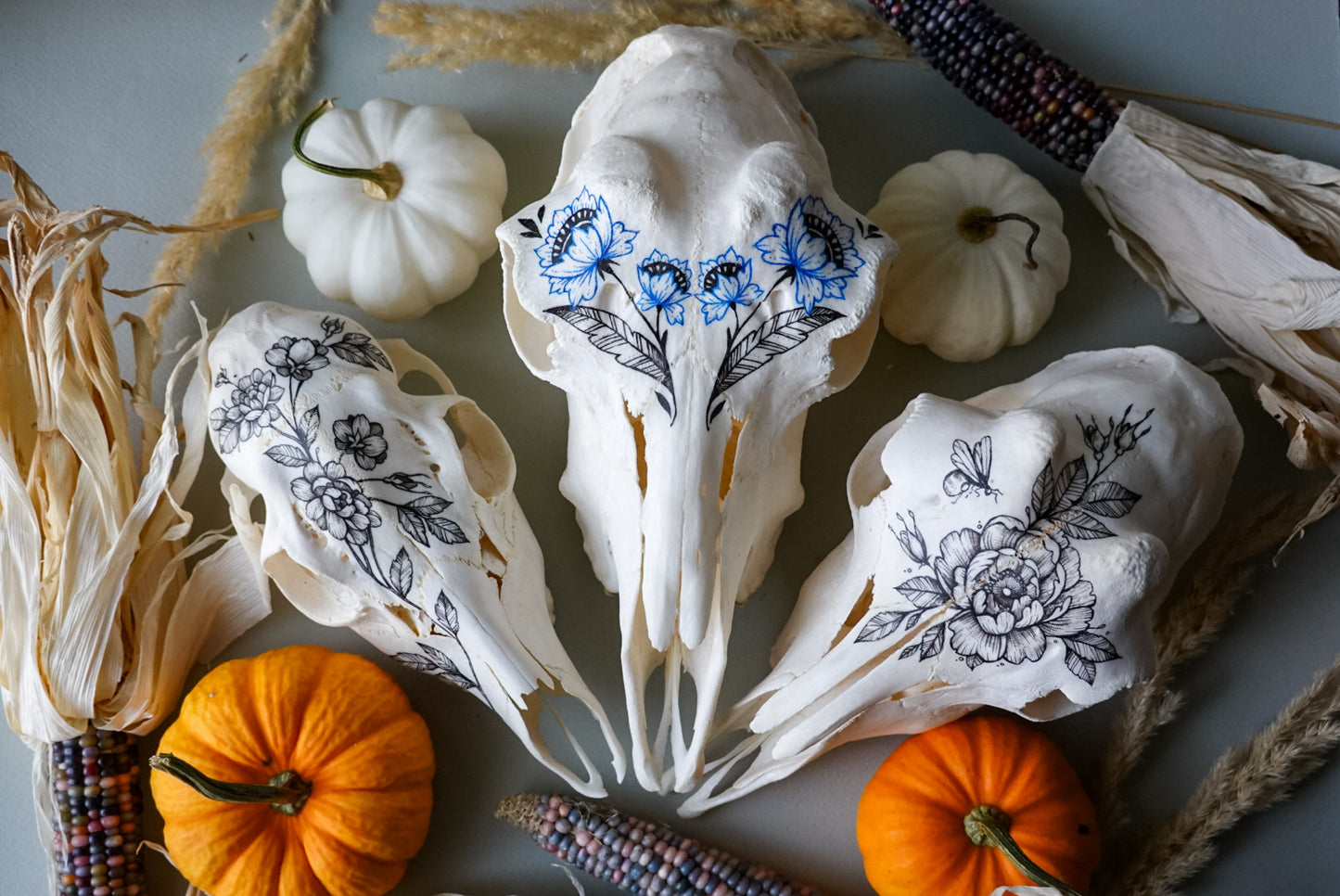 Hand painted skull of goat