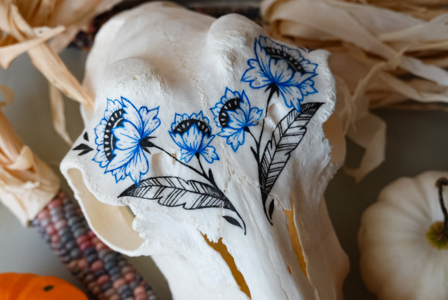 Hand painted skull of goat