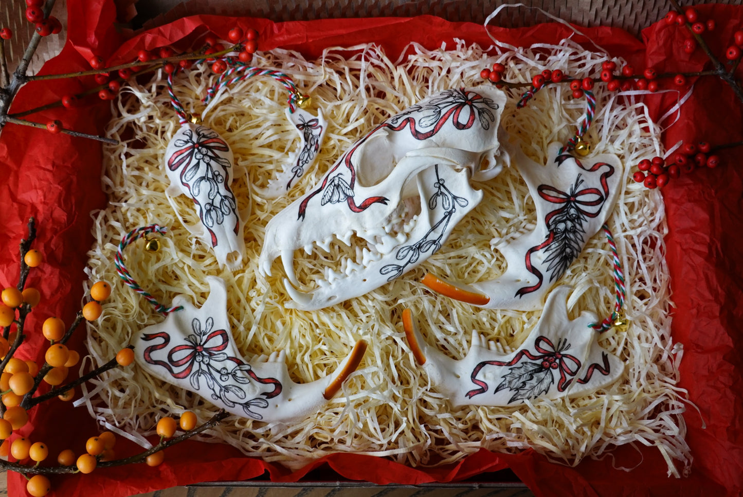 Hand painted skull of red fox "Mistletoe"