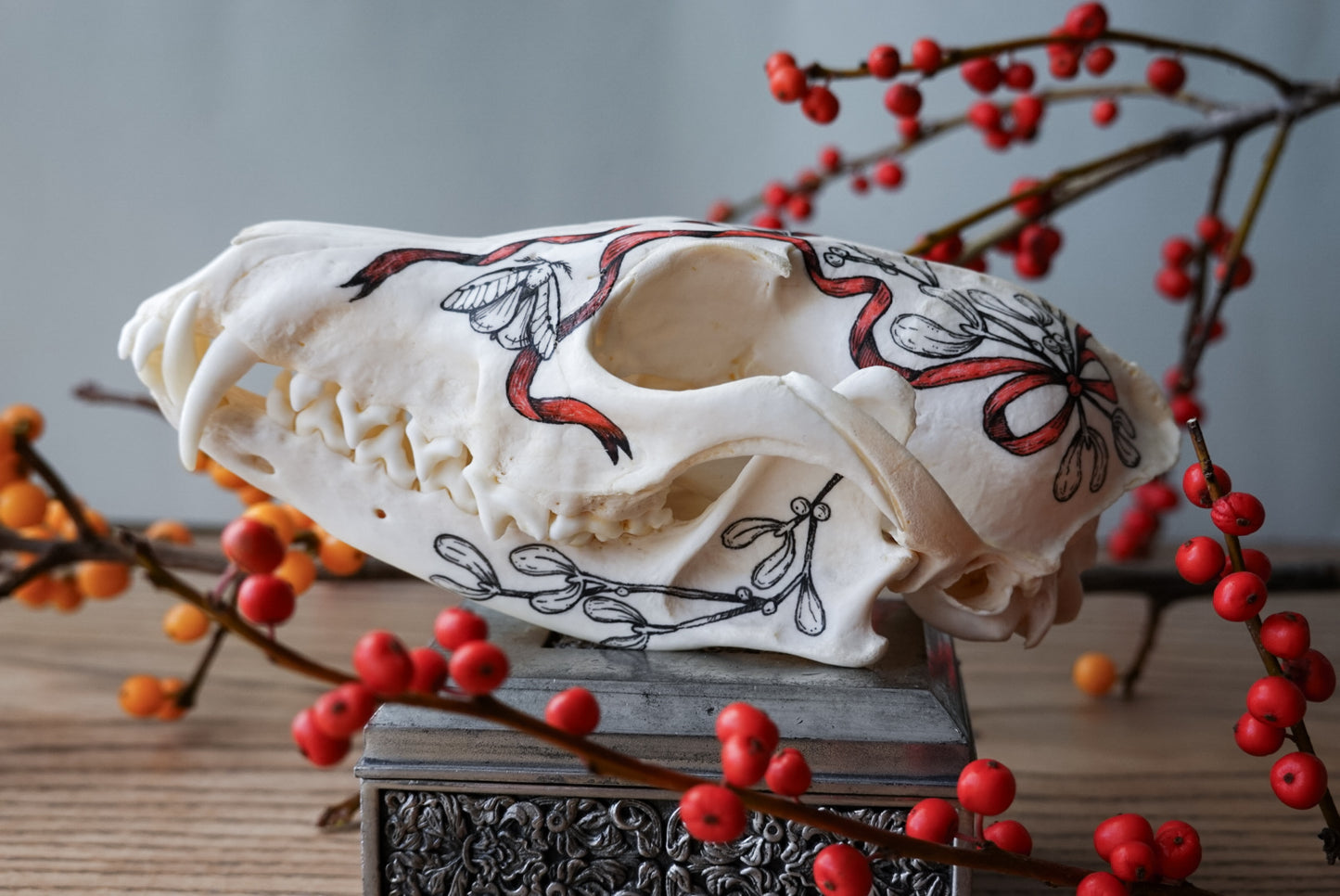 Hand painted skull of red fox "Mistletoe"