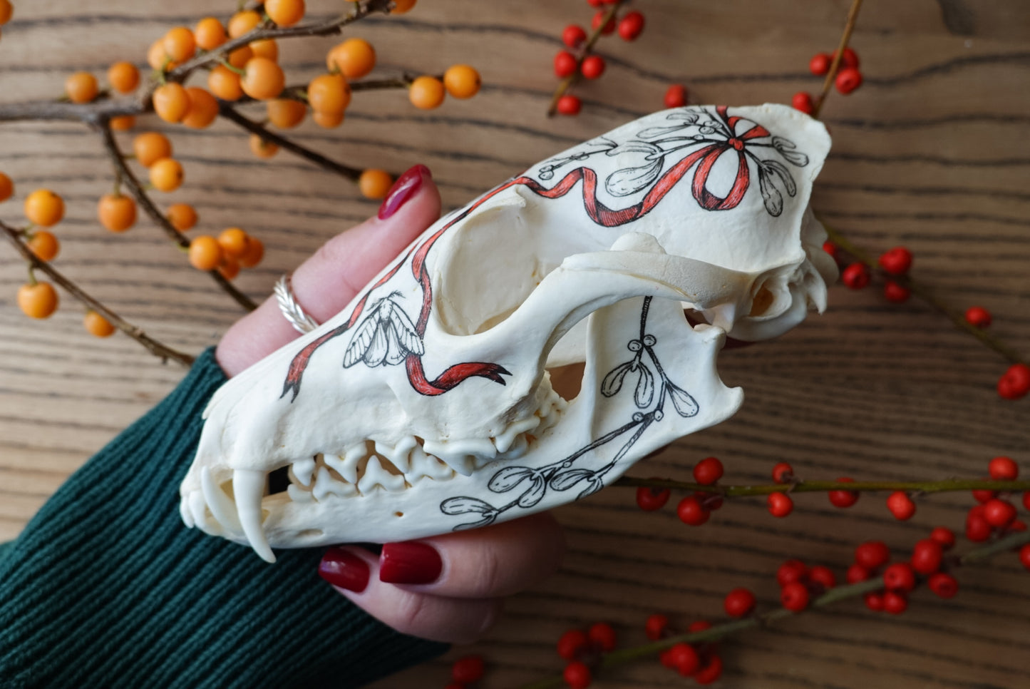 Hand painted skull of red fox "Mistletoe"