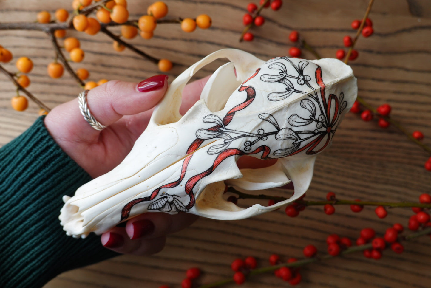 Hand painted skull of red fox "Mistletoe"
