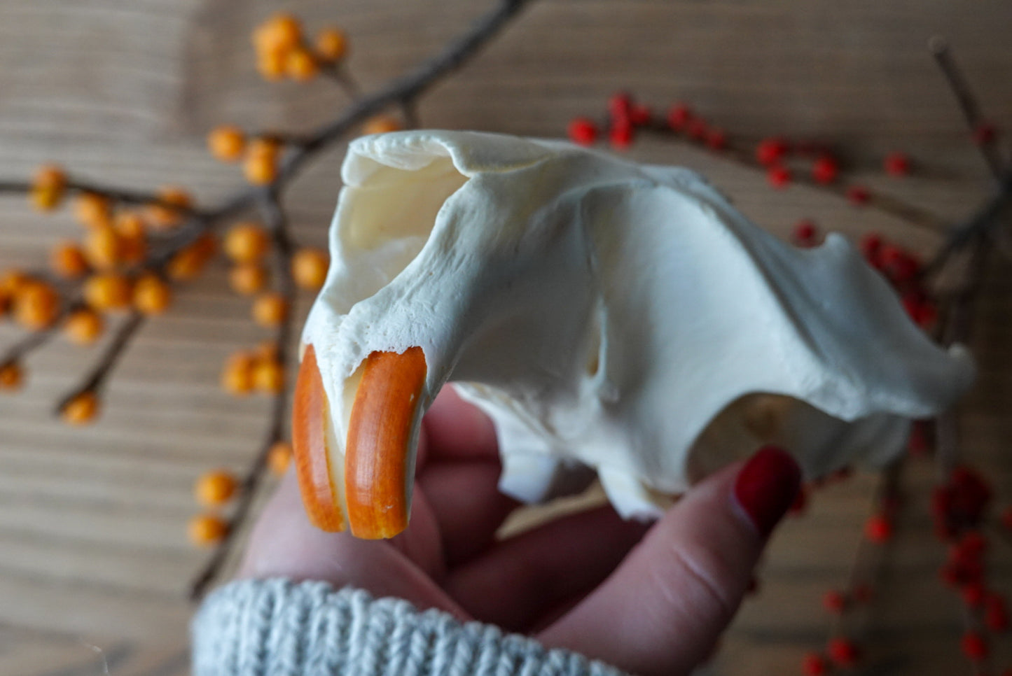 Hand-Carved Beaver Skull