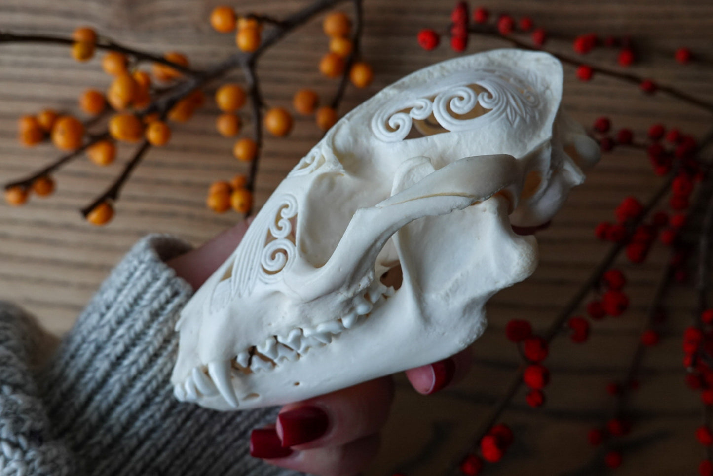 Hand carved Japanese raccoon dog skull