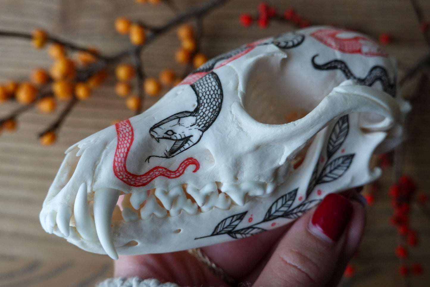Hand painted fox skull