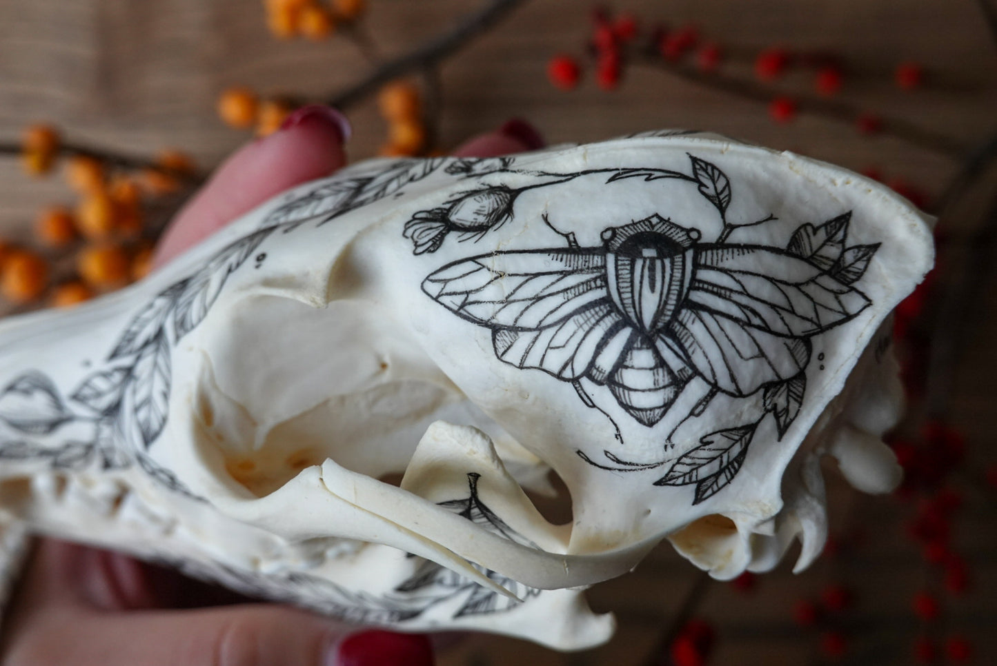 Hand painted fox skull
