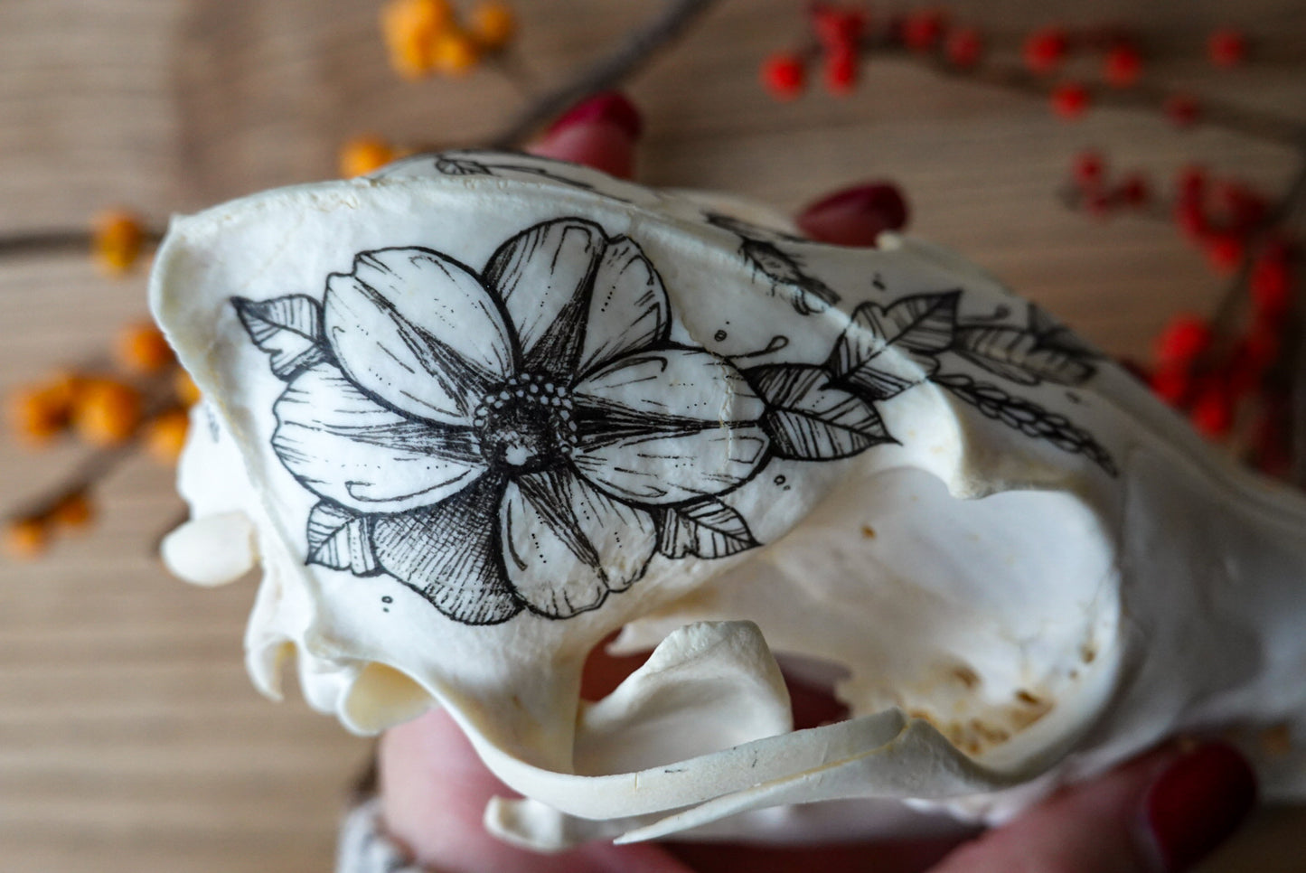 Hand painted fox skull