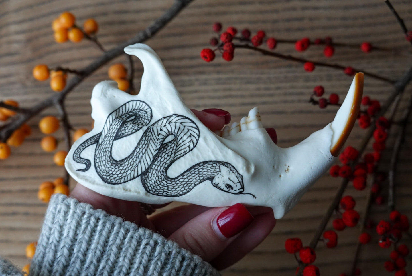 Hand Painted beaver jaw