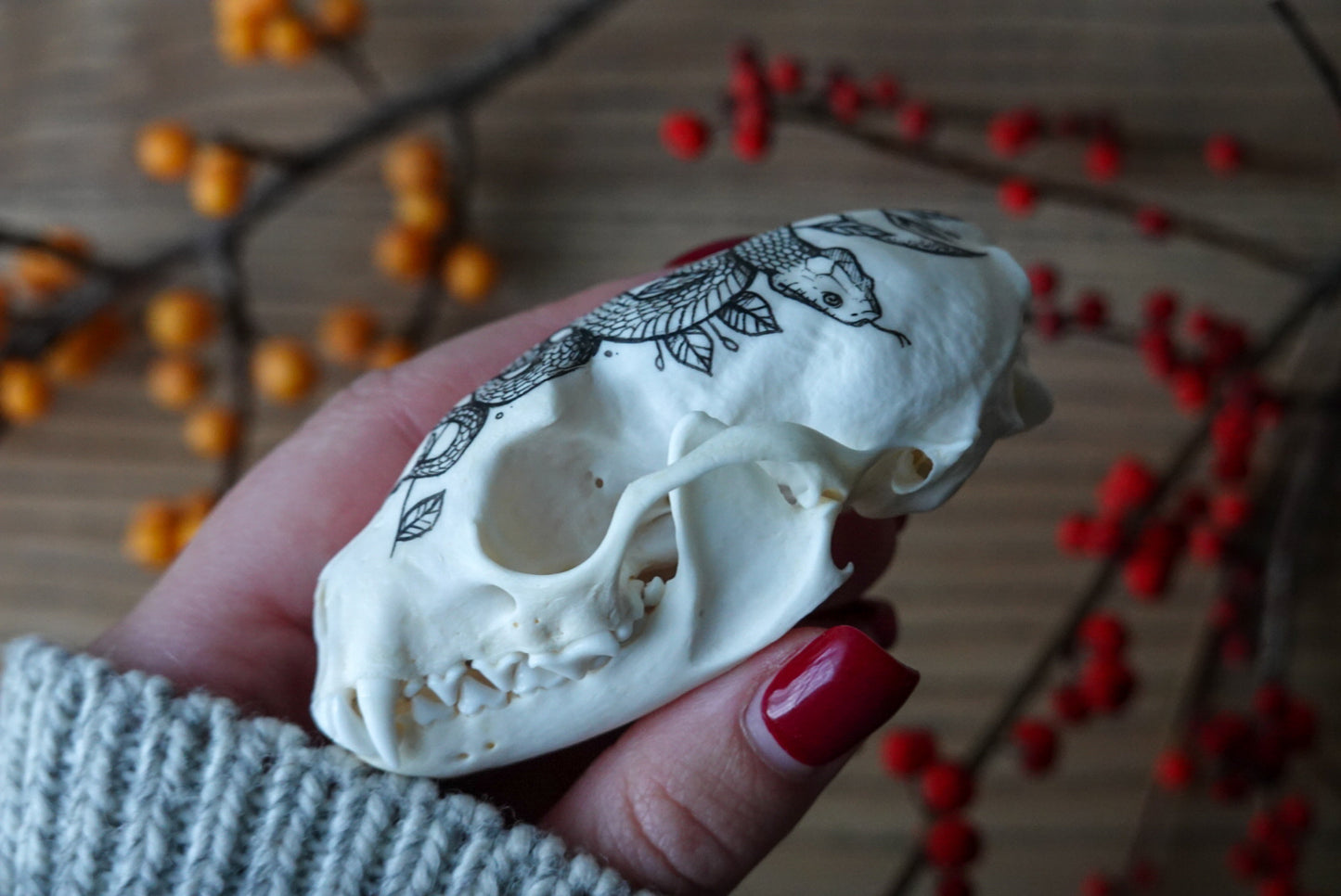 Hand painted marten skull