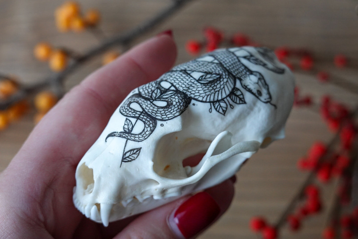 Hand painted marten skull