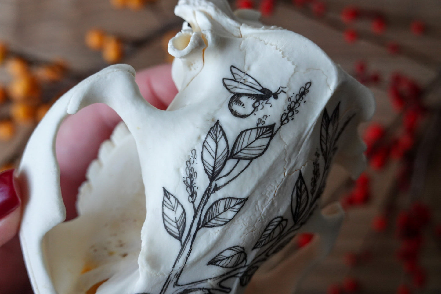 Hand painted beaver