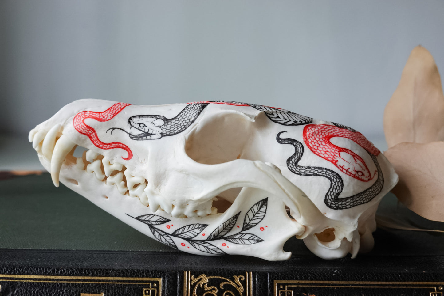 Hand painted fox skull