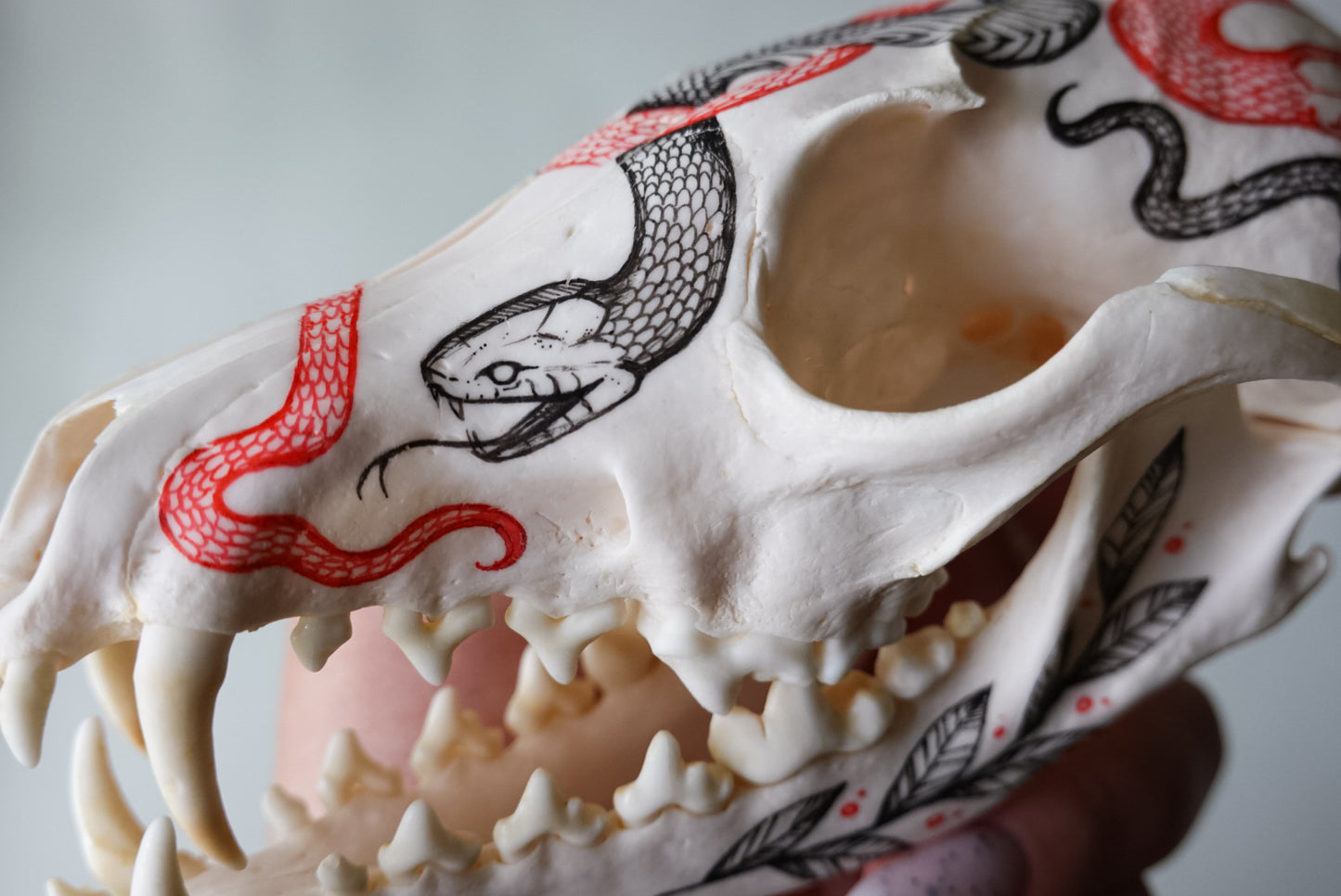 Hand painted fox skull