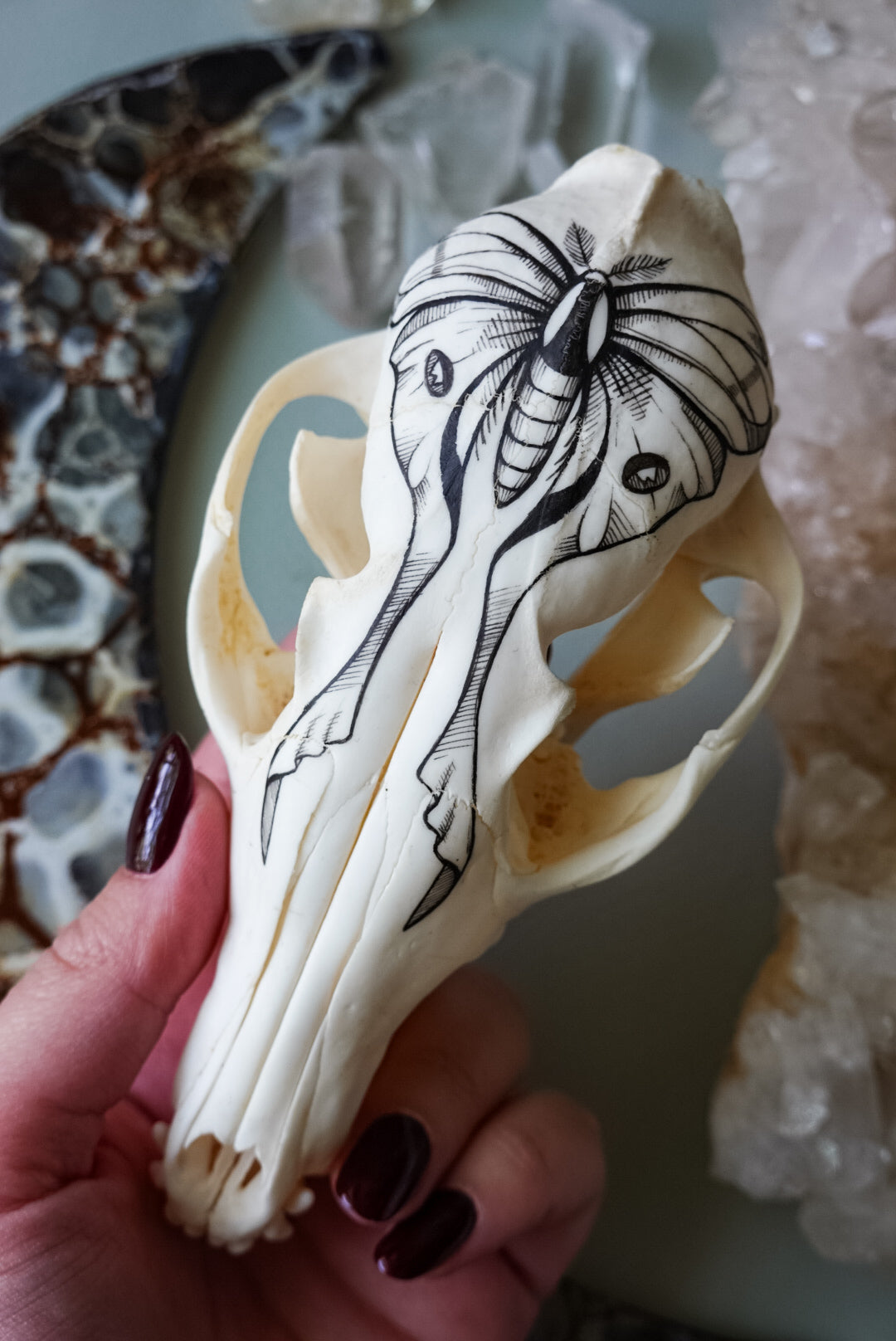 Hand painted fox skull