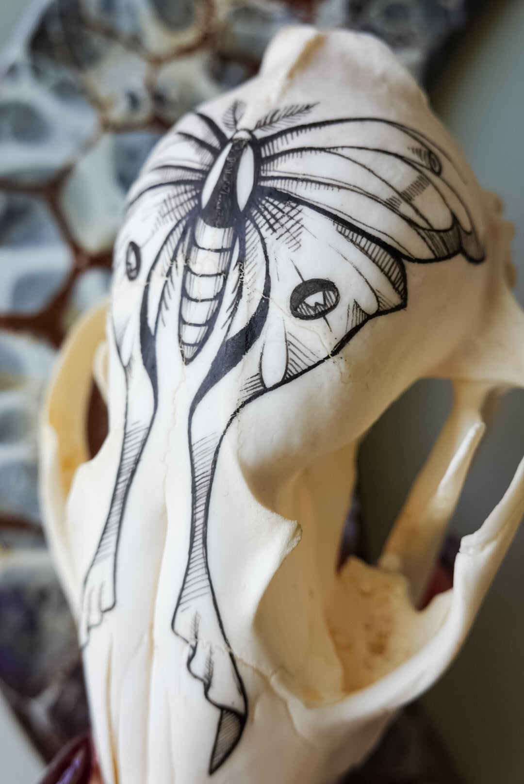 Hand painted fox skull