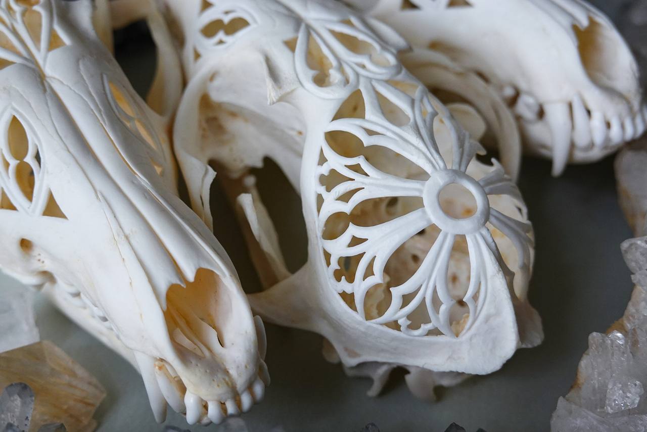 Hand-Carved Fox Skull