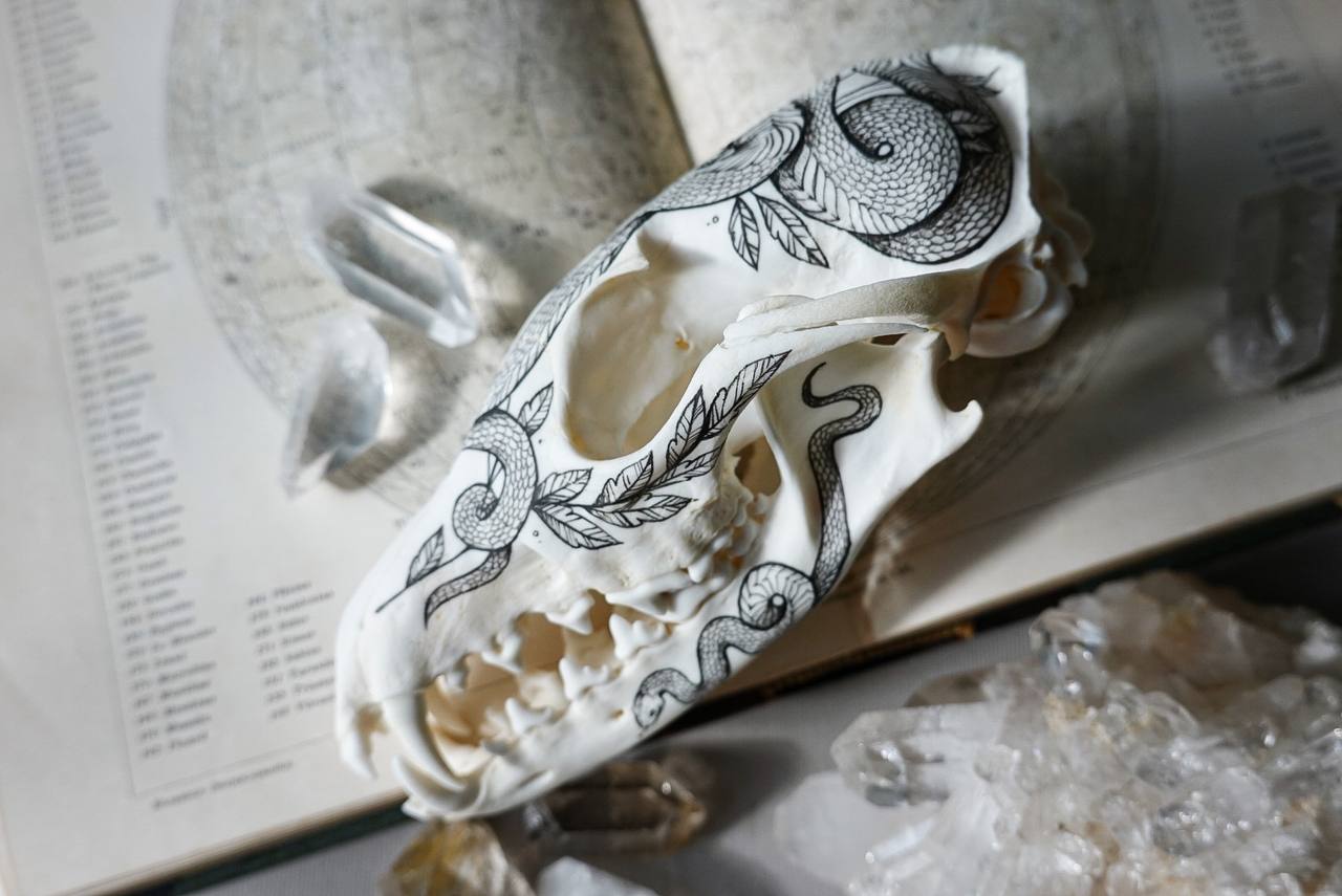 Hand painted fox skull