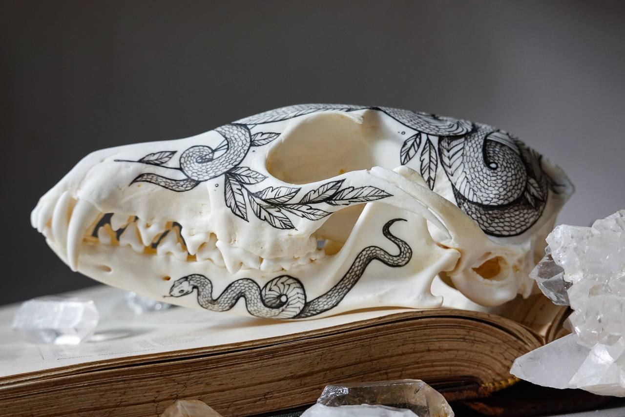 Hand painted fox skull
