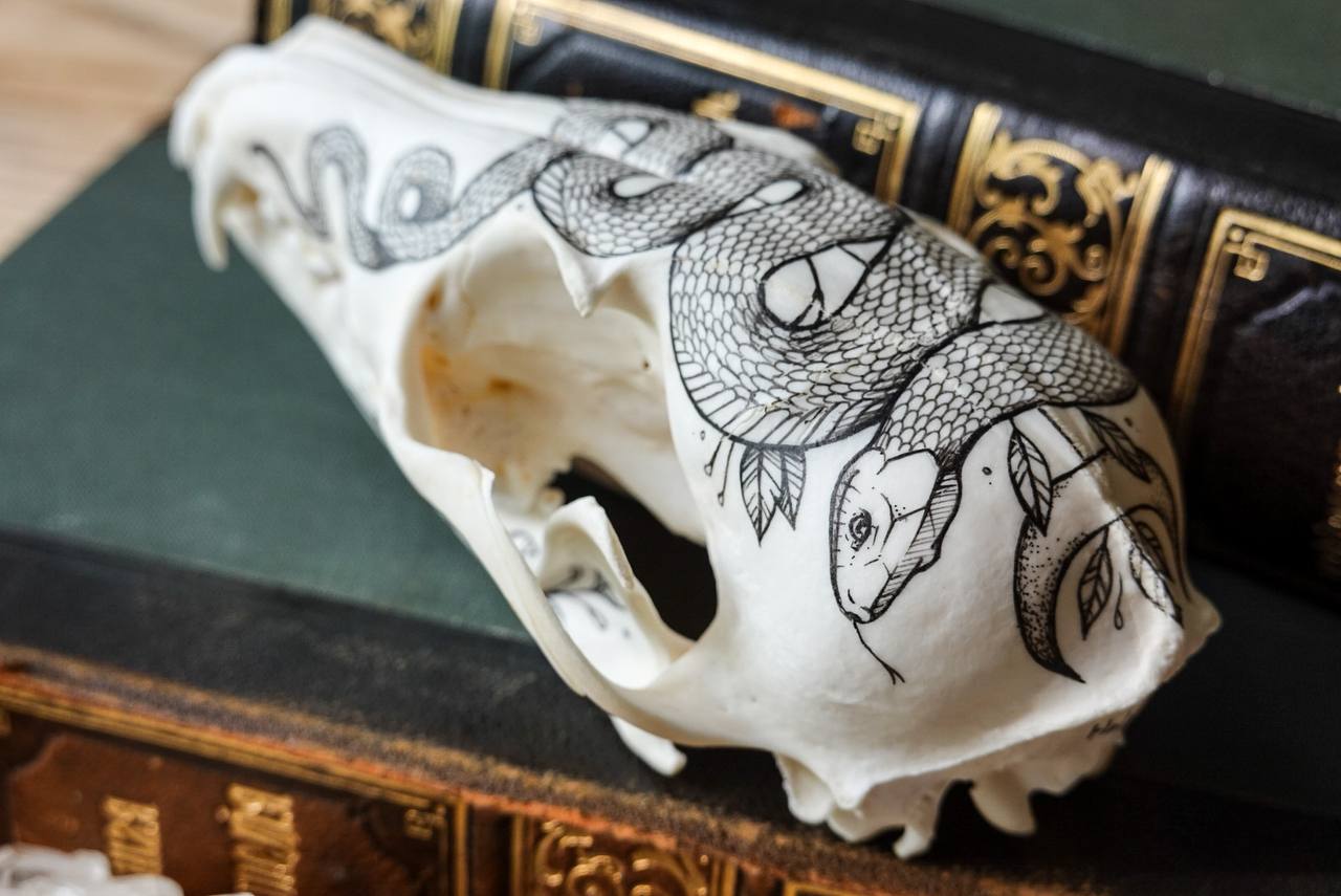 Hand painted fox skull