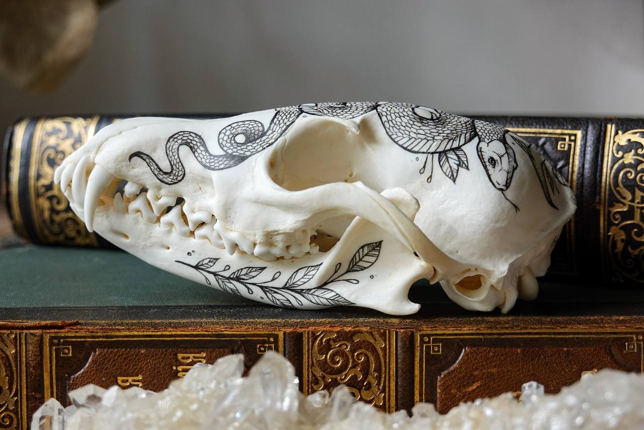 Hand painted fox skull