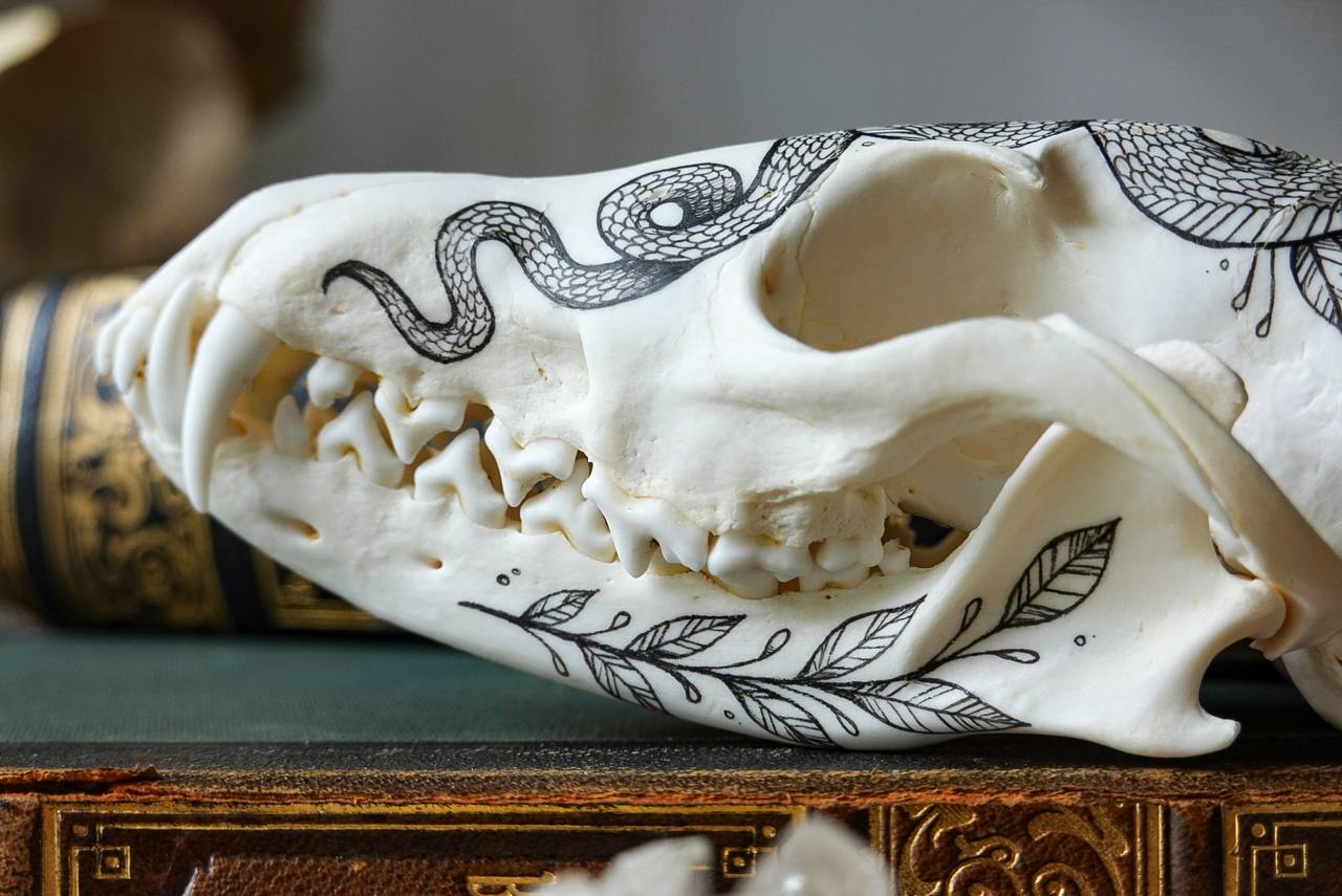 Hand painted fox skull