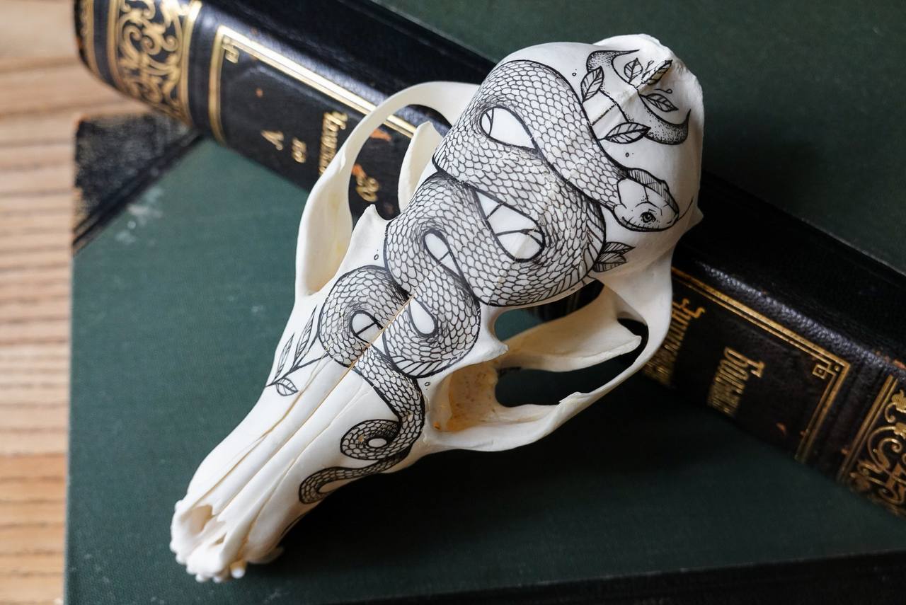Hand painted fox skull