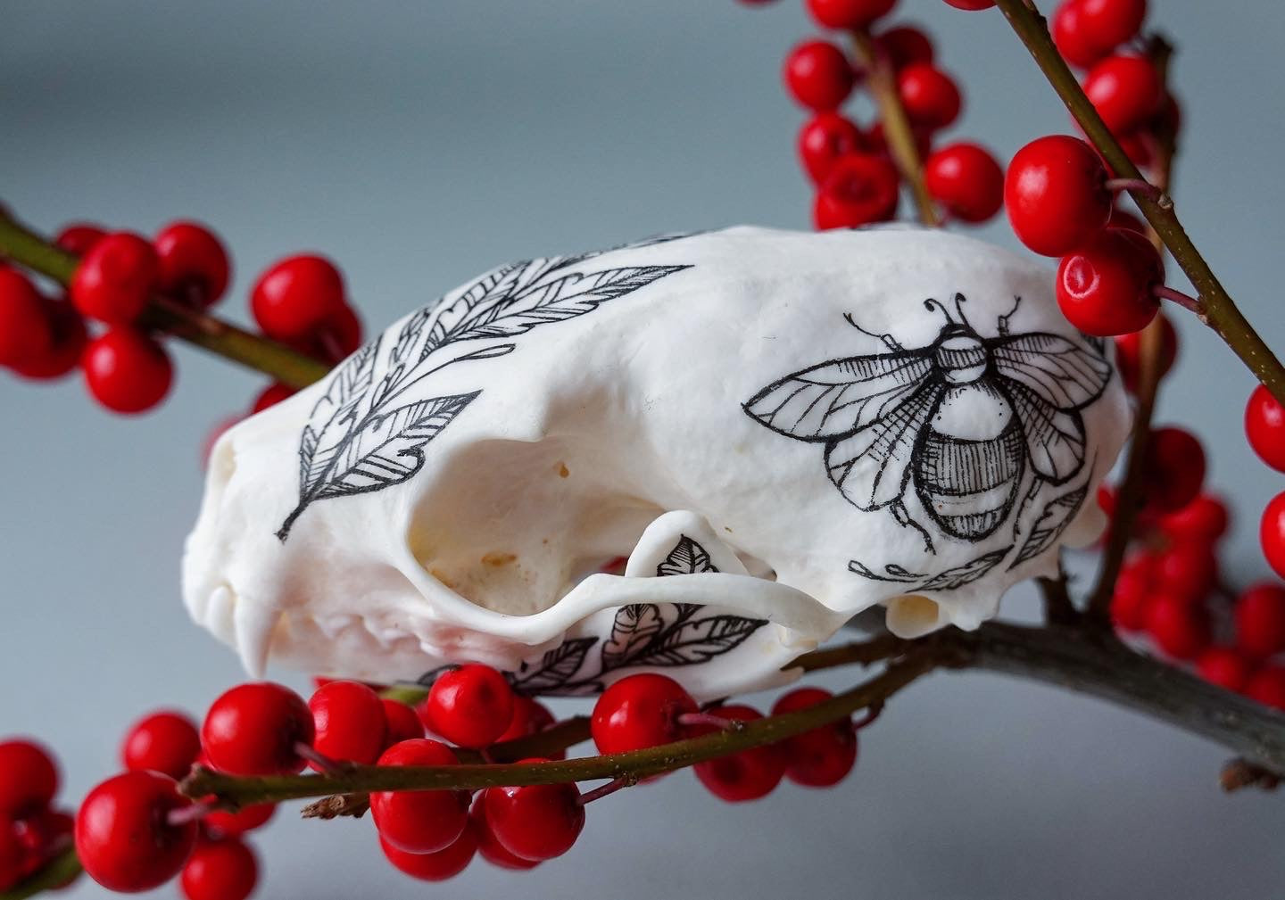 Hand painted marten skull