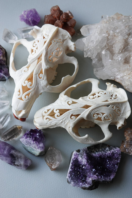 Hand-Carved Beaver Skull