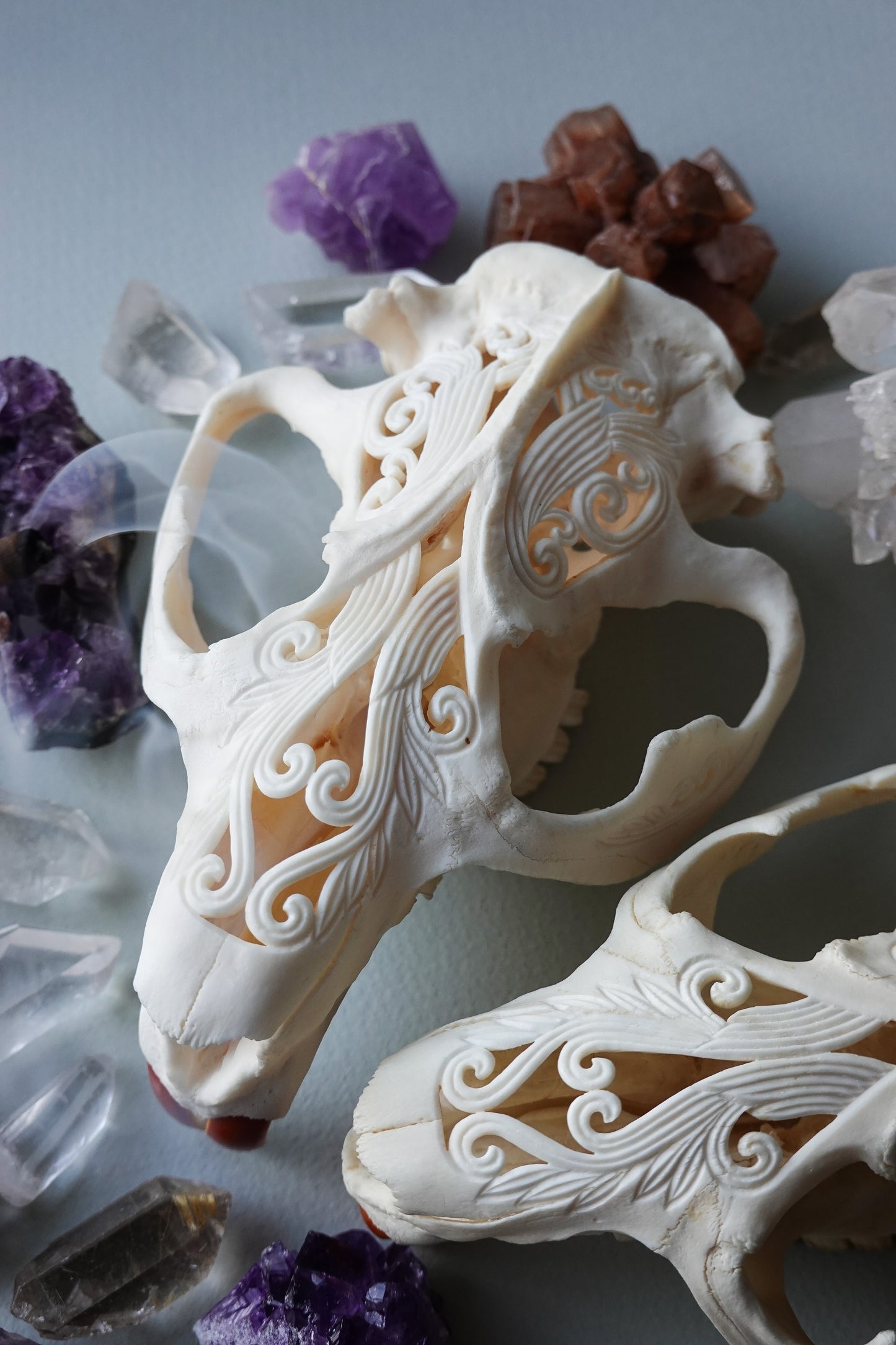 Hand-Carved Beaver Skull
