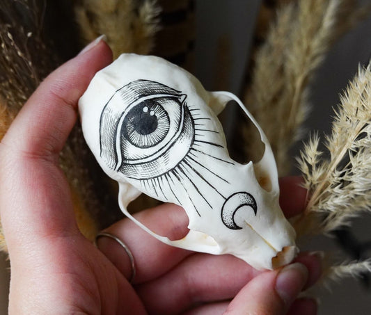 Hand painted marten skull