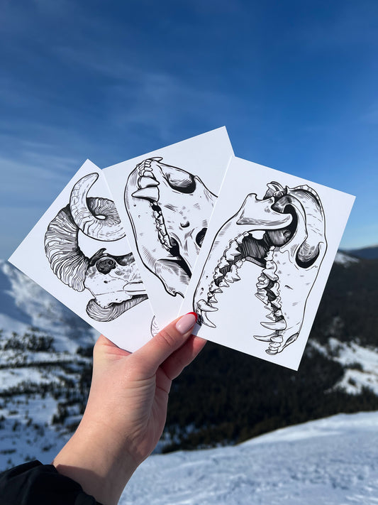 Postcard Set - Pack of 5 postcards