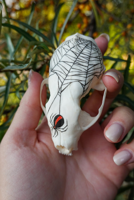 Hand painted marten skull